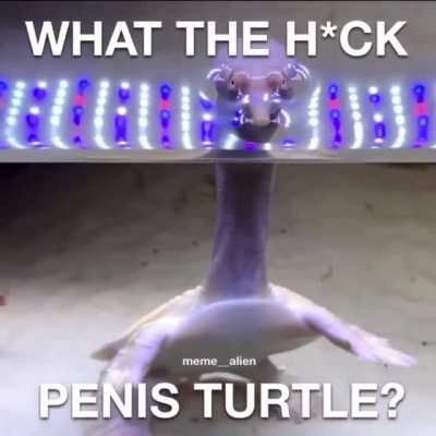 What the h*ck is going on