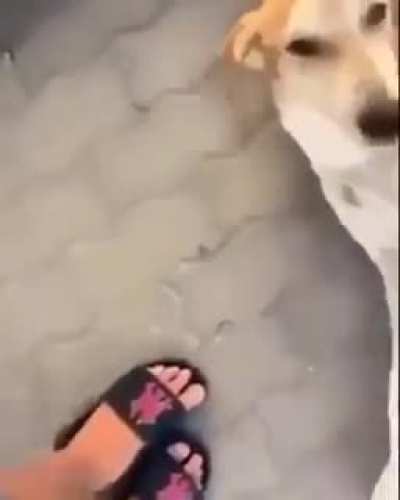 Poor child