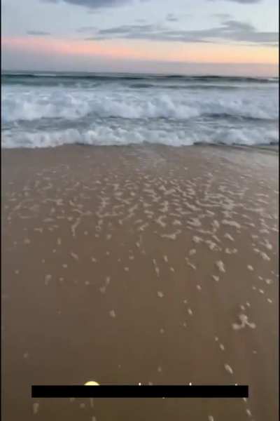 Saving a fish