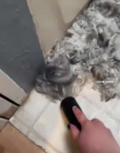 Vacuum cleaning