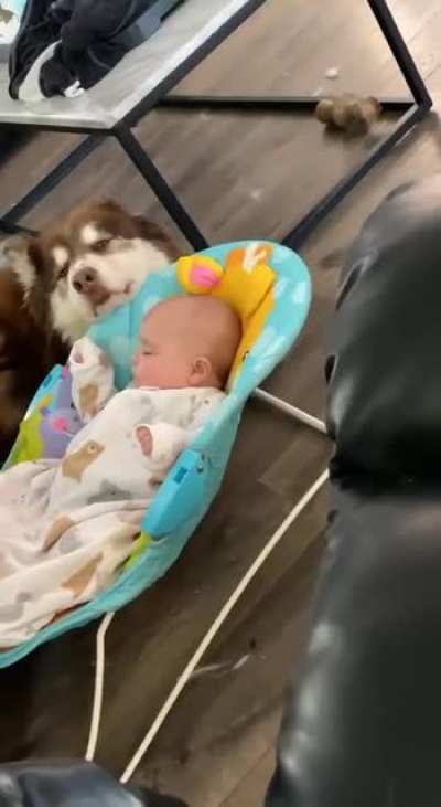 This is Bowser. He&rsquo;s the designated baby bouncer for today. Doesn&rsquo;t mind the responsibility because he&rsquo;s quite good at it