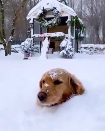 Winter is coming...