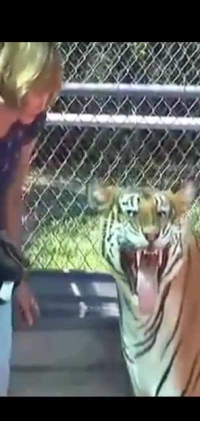 Tiger goes Tarantino