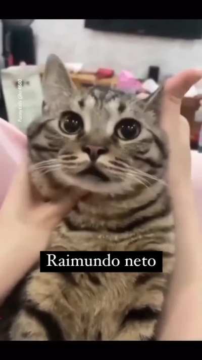 Cara de Mau 😠
