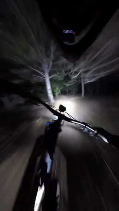 POV: It&rsquo;s 3am and you&rsquo;re being chased through a forrest