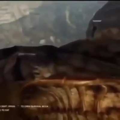 XD