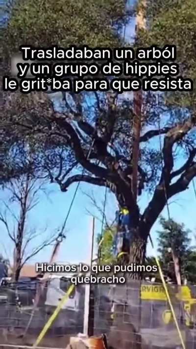 Pensamiento mágico