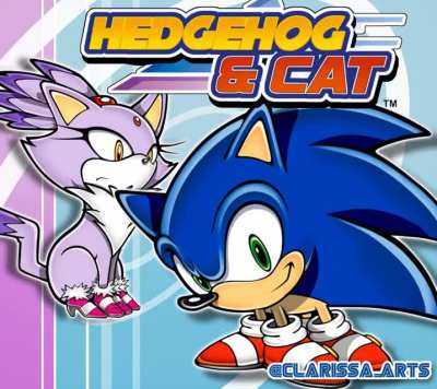 the hedgehog and cat meme but with a new day from sonic rush
