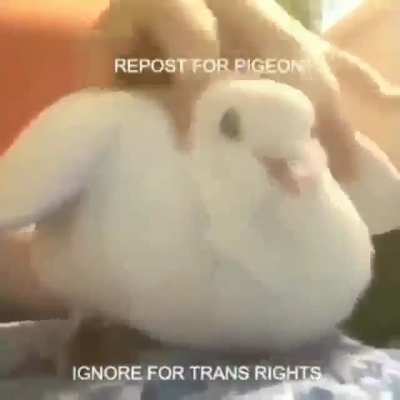 &lrm;&lrm;&lrm;&lrm;
