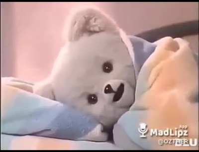 el osito de las toallas