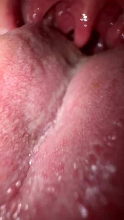 feel the heat of my tongue searching for you without mercy