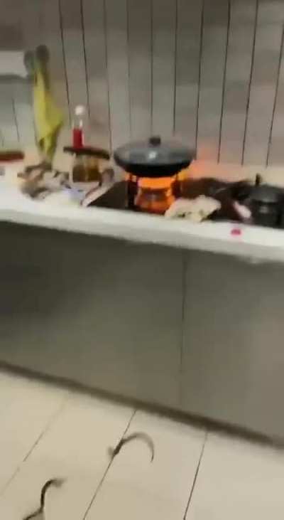 Cooking live eels...