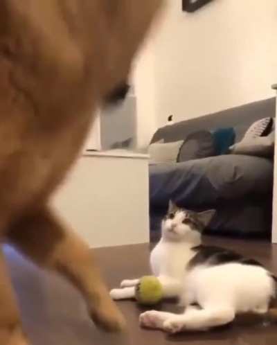 this is mine not yours!