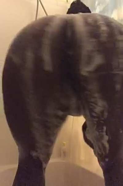 shower twerkss