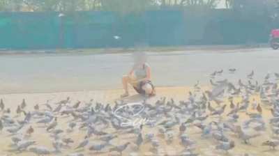 Opps moment while feeding the pigeons. I don&rsquo;t know but people must have looked at my milky legs and blue thongs. [f] [female]