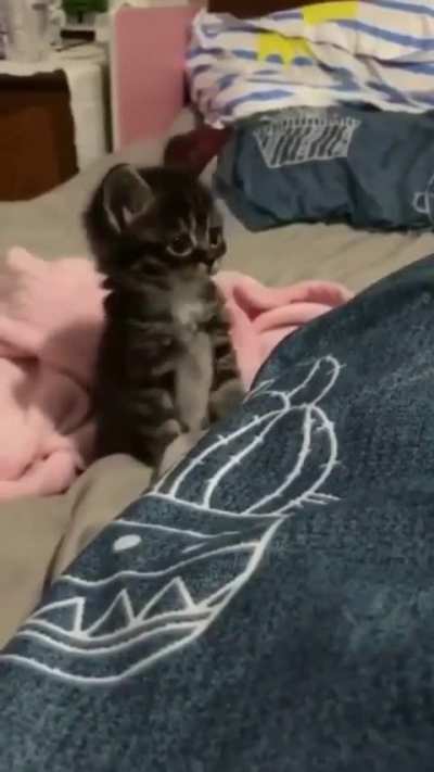 🥺