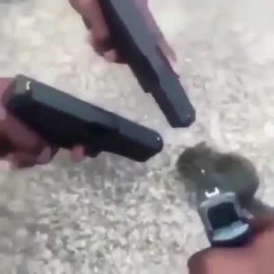 Tienen amenazado al urigod 😔