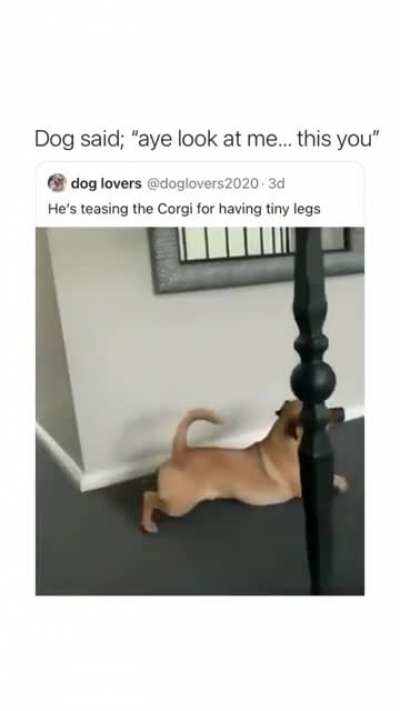 This is you