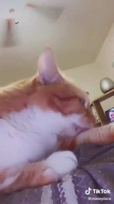 Fatty