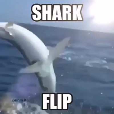 😳😳😳
