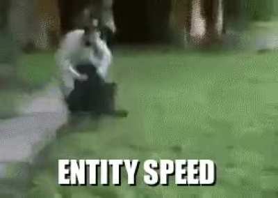 Entity speed