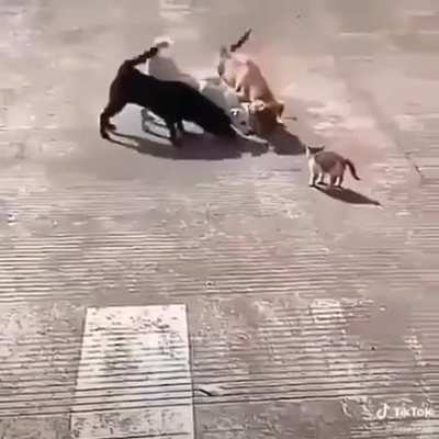 Слабый снаружи, но сильный внутри