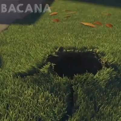 T&iacute;tulo n&atilde;o viu nada