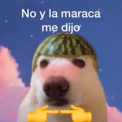 Bajen al volumen primer aviso