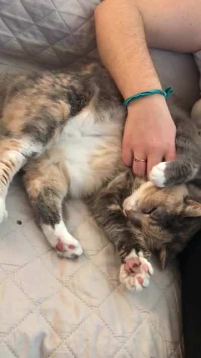 10yr old lady my fianc&eacute; adopted. Her name is Peach but she&rsquo;s my little squish.
