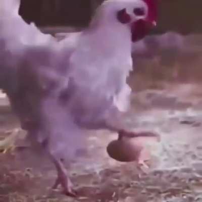Wow