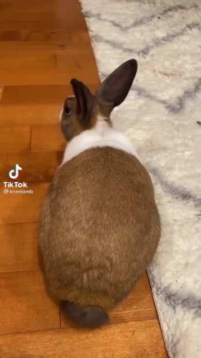 Wtf!?