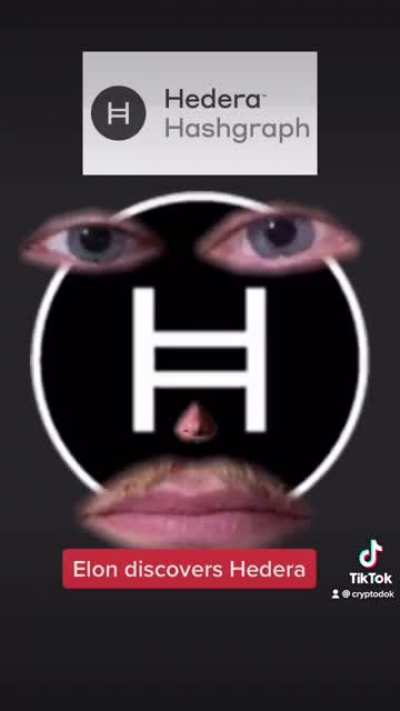 Elon finds Hedera.