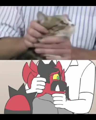 Squish that cat