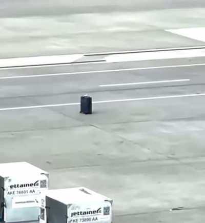 They didn&rsquo;t lose the luggage. The luggage needed to get lost.