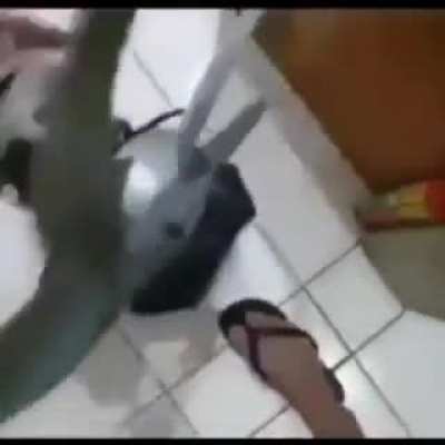 ???