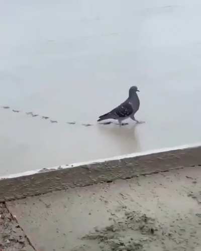 &ldquo;Fuck your concrete!&rdquo;