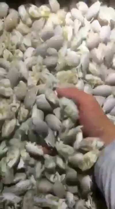 Кто-то к пиву