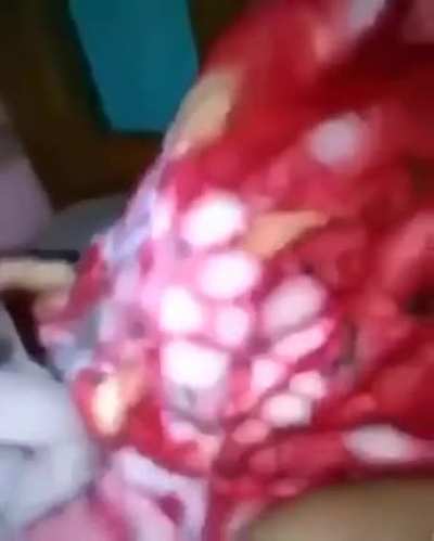 Gatinho fdp