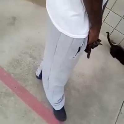 Pussy in the pocket