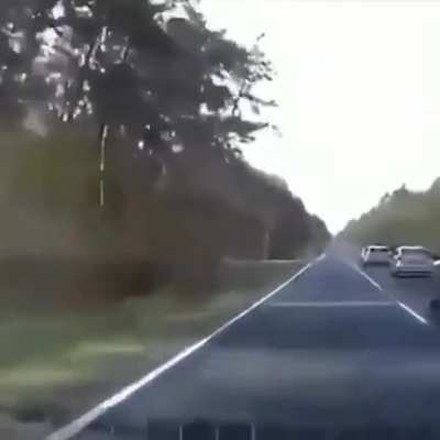 Breaking The Law! Breaking The Law!