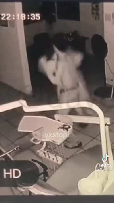 Scary, dance, sex