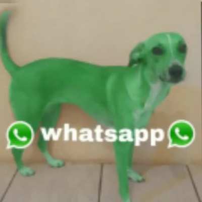 whatsapp drip 🚗🚗🚗🧑&zwj;🦼🧑&zwj;🦯👉🤤👈📮🦧🅱️🗼
