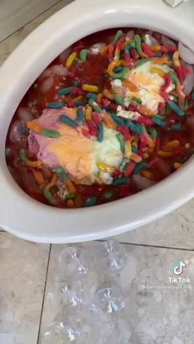 Don't worry guys, she "cleaned the toilet bowl before she made it"