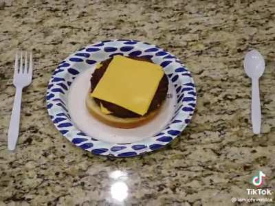 solid meal