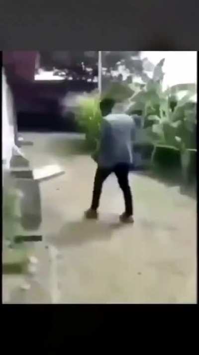 dei mts hahas