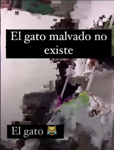XD