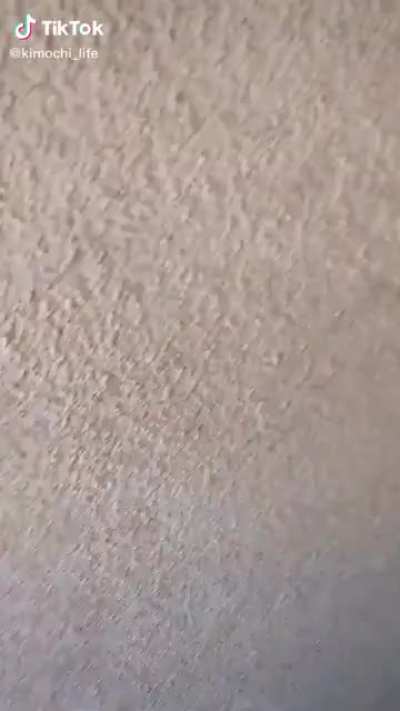 I don't know if this has been posted here or not, but i saw it, and immediately knew where it had to be posted to.