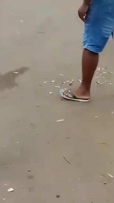 Bonk