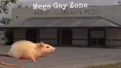 Fuck outta here