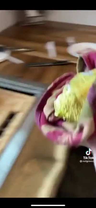 potato